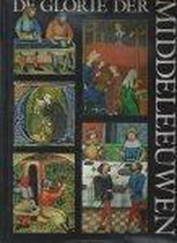 De Glorie der Middeleeuwen 9789060175231, Verzenden, Gelezen