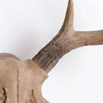 Wanddecoratie - Vintage Deer Head skull Wall Mount Resin, Antiek en Kunst