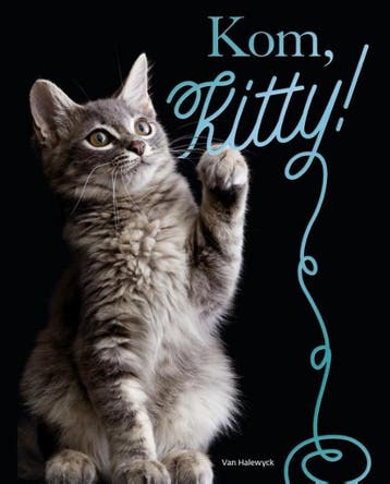 Kom, Kitty! 9789461319432 Nicola Jane Swinney, Verzenden, Zo goed als nieuw, Nicola Jane Swinney