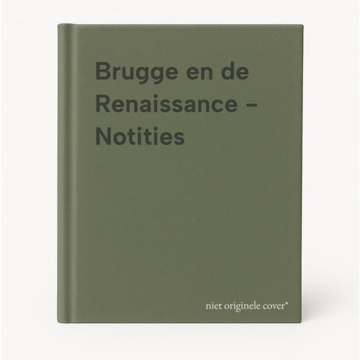 Brugge en de Renaissance - Notities 9789055442362, Boeken, Geschiedenis | Wereld, Gelezen, Verzenden