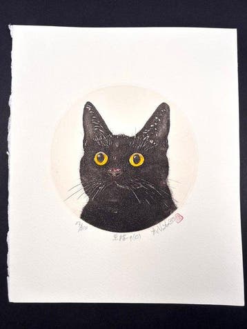 Black Cat 9C (Kuroneko  9C) - Limited 37/300 - Hiroto