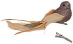 Champagne bruine vogeltjes glitter met clip 16x4 cm 4 stuks, Nieuw