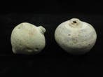 Byzantin Terre cuite grenade au feu grec décorée (2x) - 10