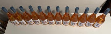 2024 Puntabella Rosato Arnaldo-Caprai - Umbrië DOC - 12 Fles