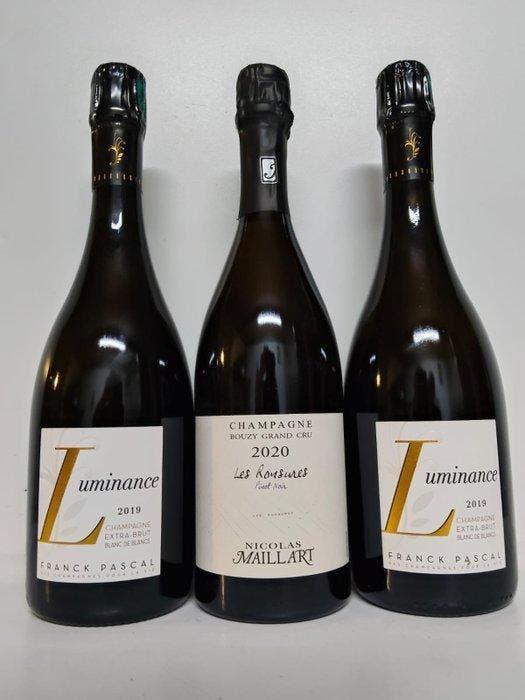 Nicolas Maillart, Franck Pascal - Champagne Extra Brut - 3, Collections, Vins