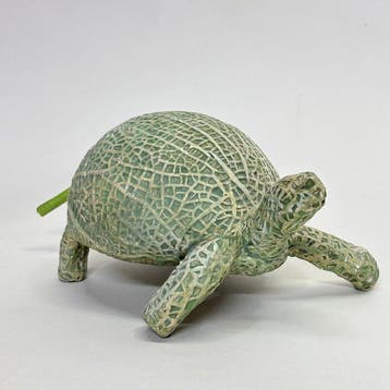Koji Kasatani - Melon Turtle