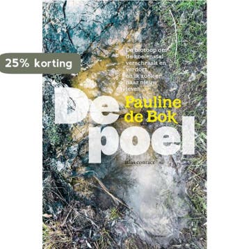 De poel 9789045040820 Pauline de Bok, Verzenden, Zo goed als nieuw, Pauline de Bok