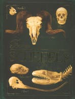 Schedels / Bones 9789052109725 Rob Colson, Verzenden, Rob Colson