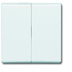 ABB Busch-Jaeger Schakelelement/Centrale Plaat voor Alle, Verzenden