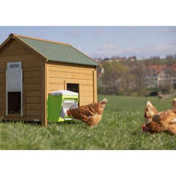Smartcoop nourrisseur automatique avec plateforme, Dieren en Toebehoren