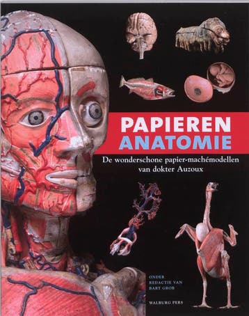 Papieren anatomie 9789057306068, Boeken, Verzenden, Gelezen