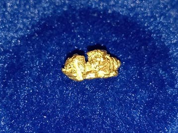 Puur juweel - Gouden nugget - Yukon Goud nugget - Hoogte: