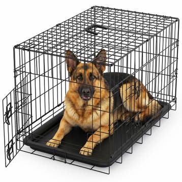 Avalo Hondenbench XXL - Opvouwbaar - 2 Deuren - 122x74x80 CM, Verzenden