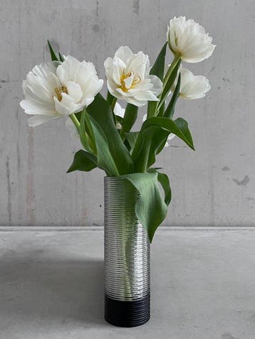 Vase - PETG - Capsule vase