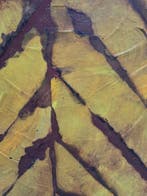 Daniel Argimon Granell (1929-1996) - Formas entrelazadas, Antiek en Kunst