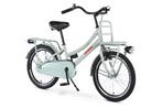 Zonix Meisjesfiets 20 Inch Mint Grey Kinderfiets Transport, Fietsen en Brommers, Ophalen of Verzenden, Nieuw