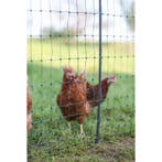 Pluimveenet premium, groen,50m 106 cm, dubbele pen,, Dieren en Toebehoren