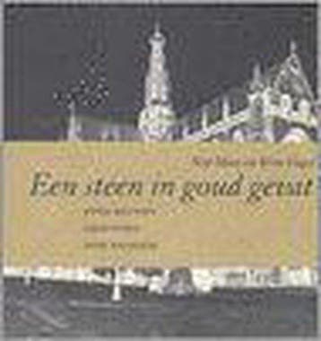 Een steen in goud gevat 9789066130104 Nop Maas, Verzenden, Nop Maas