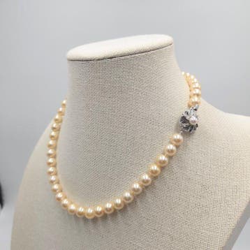 Halsketting Zilver Parel - Akoya 8,0 mm 17 in