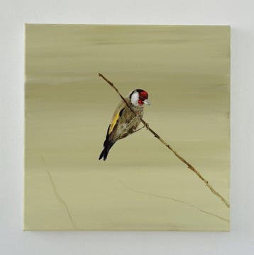 Matthieu van Riel - Puttertje op een tak