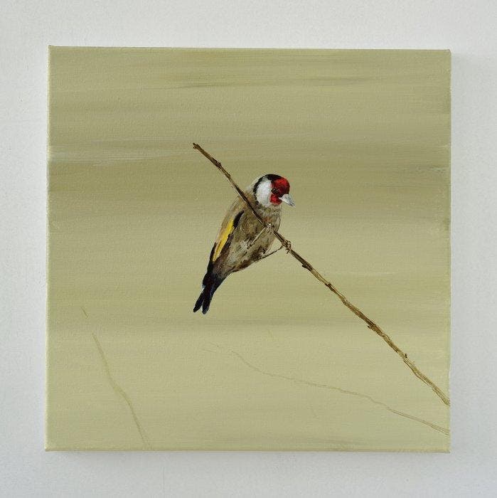 Matthieu van Riel - Puttertje op een tak, Antiek en Kunst, Kunst | Schilderijen | Modern