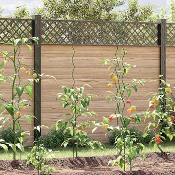 vidaXL Plantondersteuning 50 st Groen 170 x 0,6 x 0,6 cm, Verzenden, Nieuw