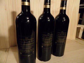2016 Chateau Trotte Vieille - Saint-Émilion Premier, Collections