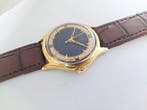 Kasta - mens gold plated Germany - Zonder minimumprijs -