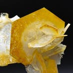 NIEUWS, GEEL ZESHOEKIG CALCiet, Fantastische ESTETIE!