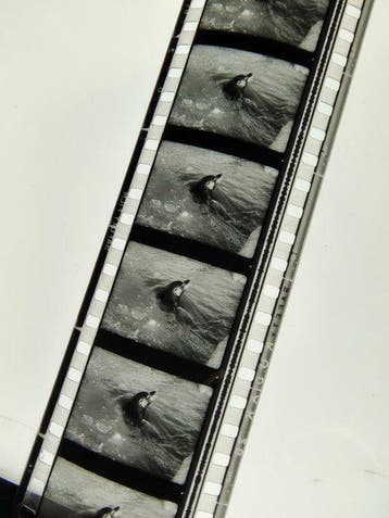 Kodak Originele 35mm historische nieuwsfilm – Zwemmers en