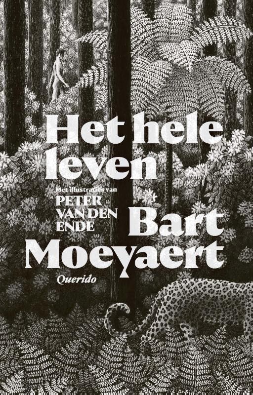 Het hele leven 9789021422190 Bart Moeyaert, Boeken, Romans, Zo goed als nieuw, Verzenden