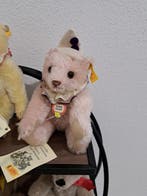 Steiff - Ours en peluche Teddybär - 2000-2010 - Allemagne, Antiquités & Art