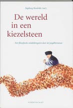 De wereld in een kiezelsteen 9789056375041, Verzenden
