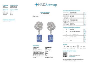 Oorbellen - 14 karaat Witgoud - 3.94ct. tw. Tanzaniet -