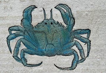 Conrad Gesner - Nomenclator aquatilium animantium - 1560, Antiek en Kunst