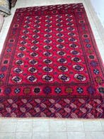 Tapis - 315 cm - 230 cm - Tapis de Bokhara russe, Nieuw