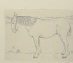 Jan Mankes (1889-1920) - Paard