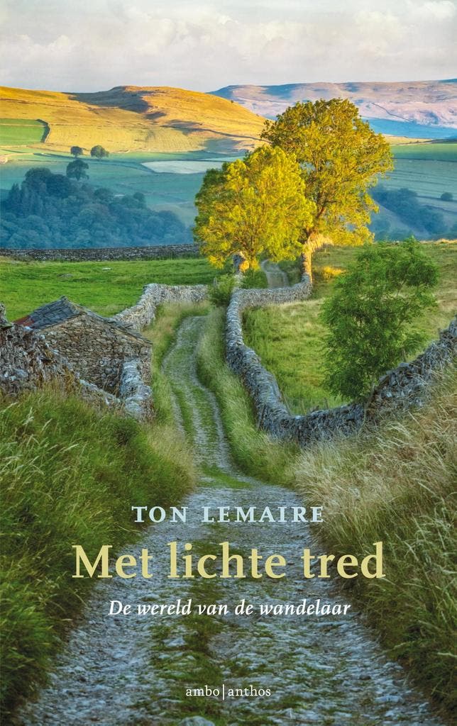 Met lichte tred 9789026347870 Ton Lemaire, Boeken, Filosofie, Zo goed als nieuw, Verzenden