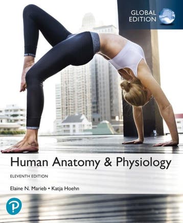 Human Anatomy & Physiology, Global Edition 9781292260853, Livres, Verzenden, Elaine Marieb