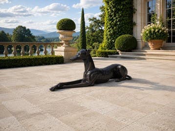 Beeld, Bronze: XL Greyhound Dog 106cm - 40.5 cm - Brons -