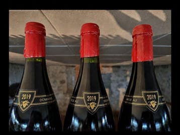 2019 Domaine Camus Père et Fils - Charmes-Chambertin Grand