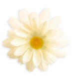 Margriet Nep Bloem 20st, Verzenden, Nieuw