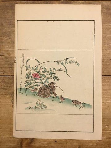 Een kwartel met kuikens - Takizawa Kiyoshi aktief (1880-90)