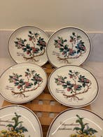 Villeroy & Boch - Bord (8) - Botanica - vitro porselein - 8