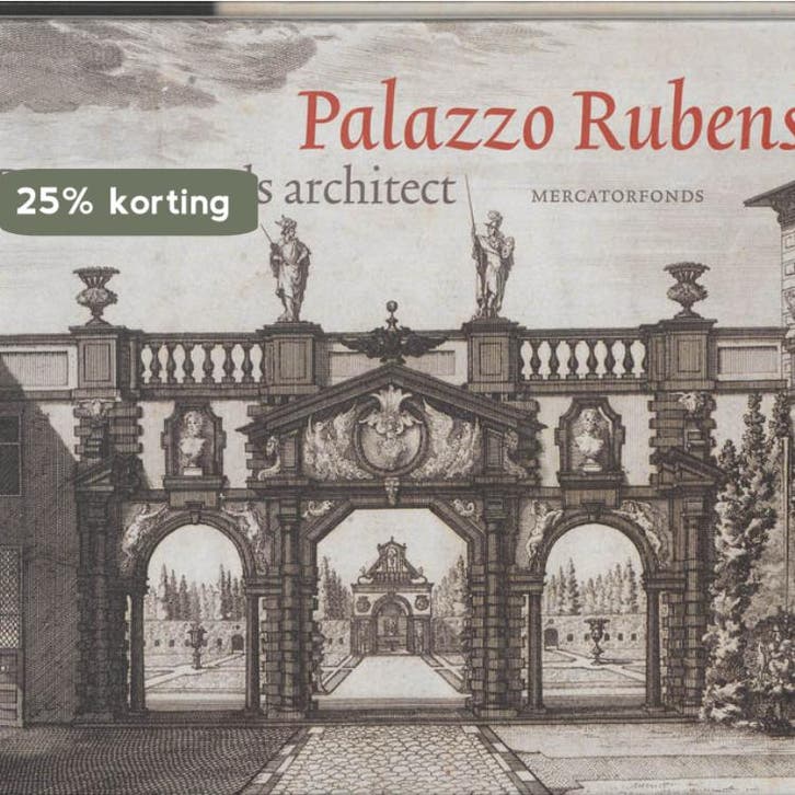 Palazzo Rubens 9789061531142 Piet Lombaerde, Livres, Art & Culture | Arts plastiques, Envoi