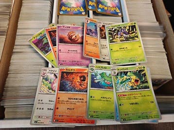 Pokémon - 1 Bulk kaarten, Nieuw