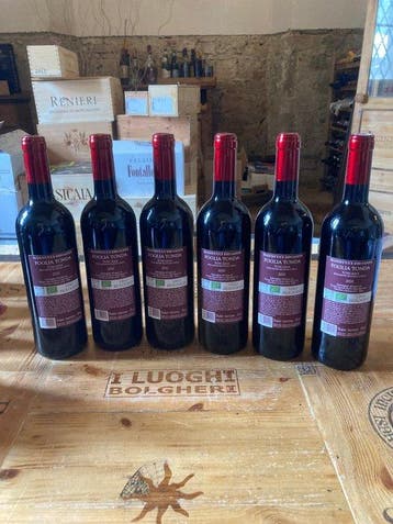2020 Mannucci Droandi, Foglia Tonda - Toscane IGT - 6, Nieuw