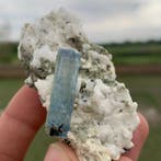 Spécimen daigue-marine bleu encre en provenance de