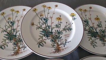 Villeroy & Boch - Tafelservies (6) - Botanica - Porselein