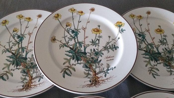 Villeroy & Boch - Tafelservies (6) - Botanica - Porselein, Antiquités & Art, Antiquités | Meubles | Tables
